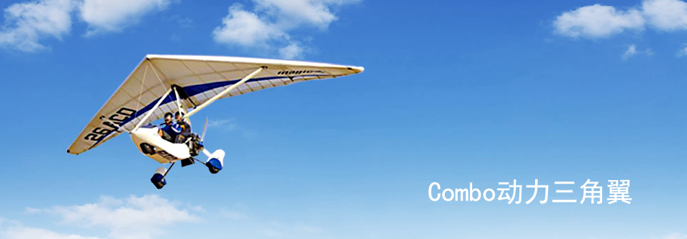 Combo动力三角翼
